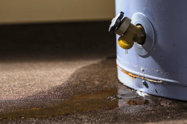 , NJ Water damage restoration Company