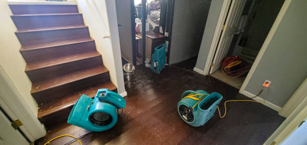 Best Commercial water damage restoration  in Glassboro, NJ