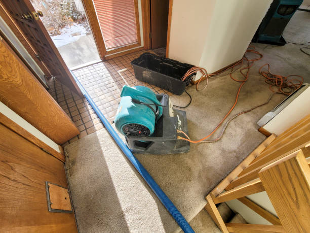 Best 24-hour water damage restoration  in Glassboro, NJ