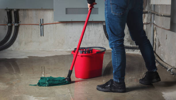 Best Mold removal after water damage  in Glassboro, NJ