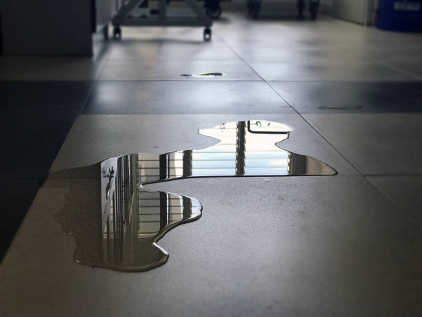 Best Water damage restoration cost  in Glassboro, NJ