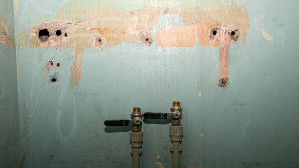 Best Water damage cleanup near me  in Glassboro, NJ